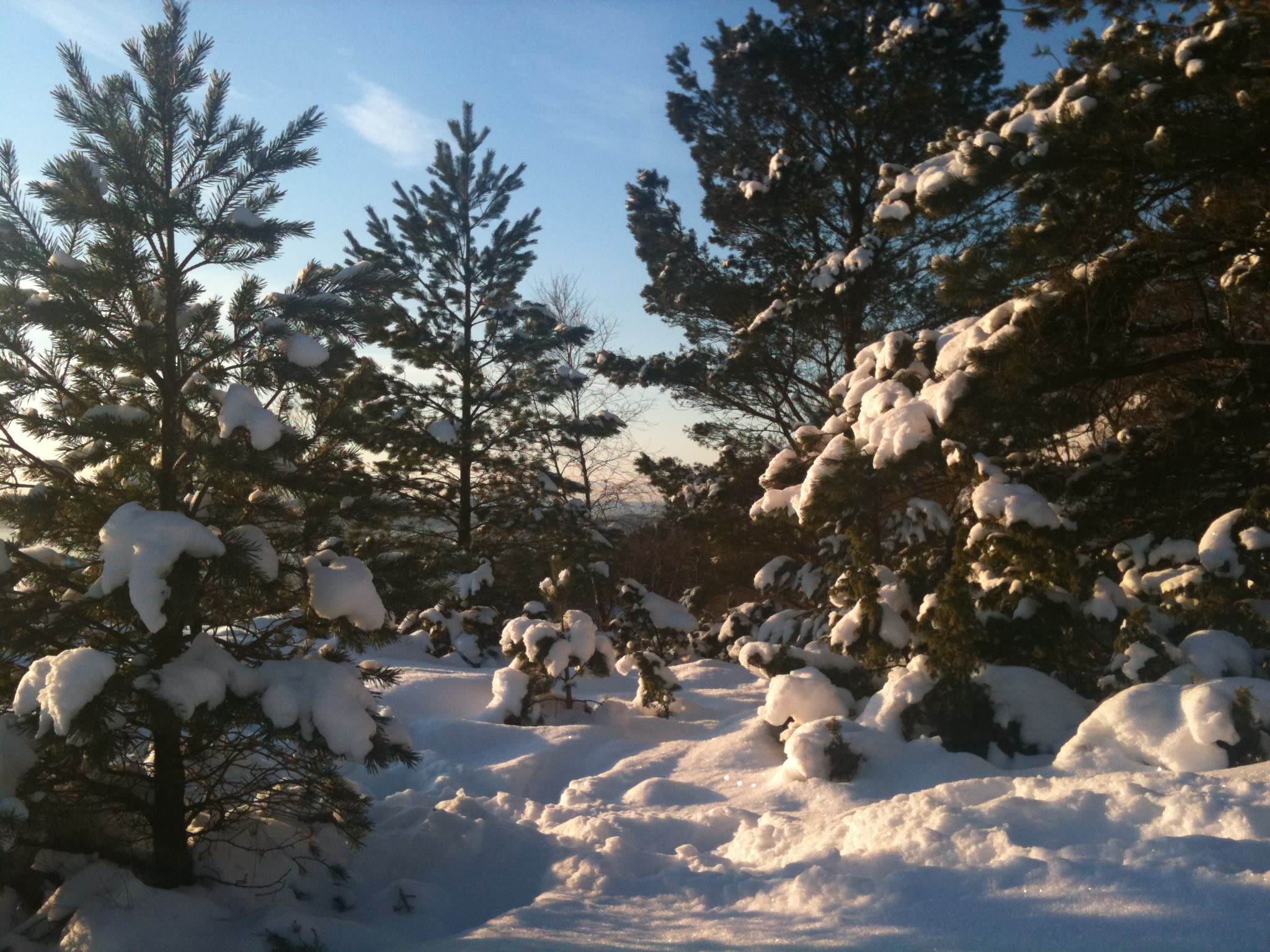 A relaxing day in the snow and sofa|En avslappende dag i snøen og sofaen